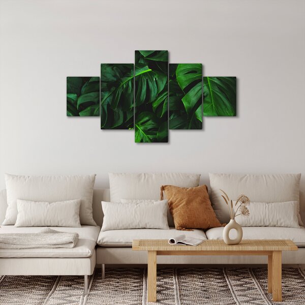 Obraz listů Monstery (125x70 cm)