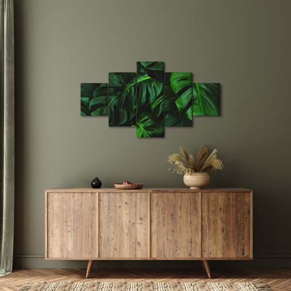 Obraz listů Monstery (125x70 cm)