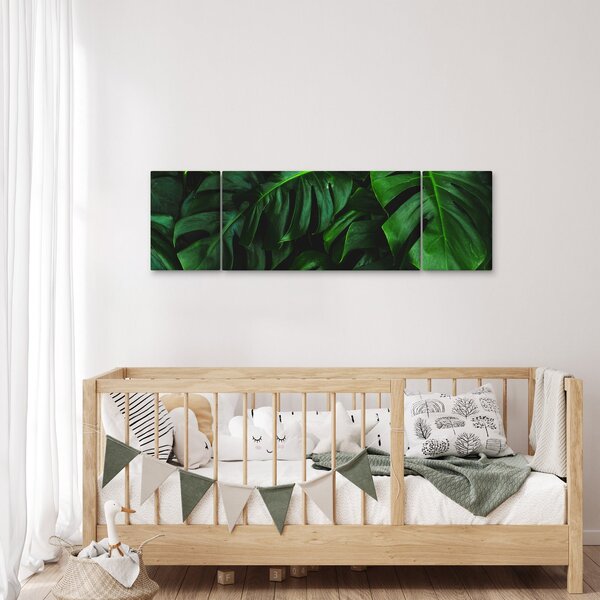 Obraz listů Monstery (170x50 cm)