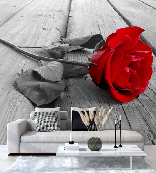 Fototapeta Červená růže na starých deskách Materiál: Vliesová, Rozměry: 100 x 100 cm