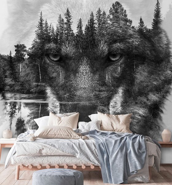 Fototapeta Vlk odrážející se v hladině jezera Materiál: Vliesová, Rozměry: 100 x 100 cm