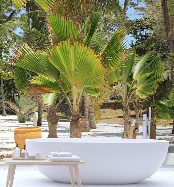 Fototapeta Palmy na tropické pláži Materiál: Vliesová, Rozměry: 100 x 100 cm