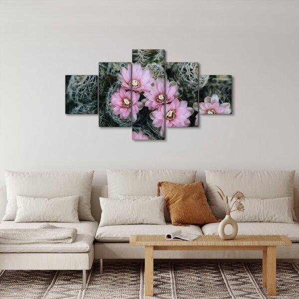 Obraz květ kaktusu (125x70 cm)
