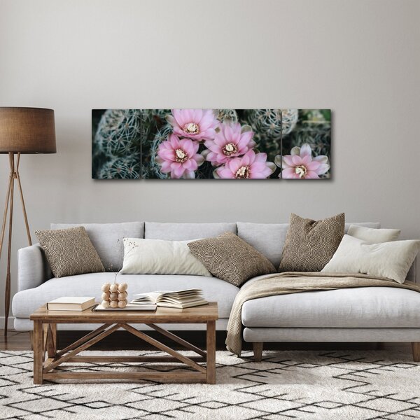 Obraz květ kaktusu (170x50 cm)