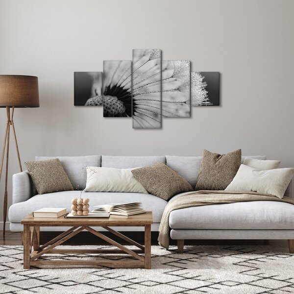 Obraz pampelišky - černobílý (125x70 cm)