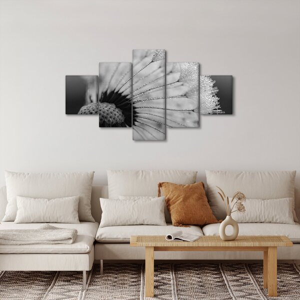 Obraz pampelišky - černobílý (125x70 cm)