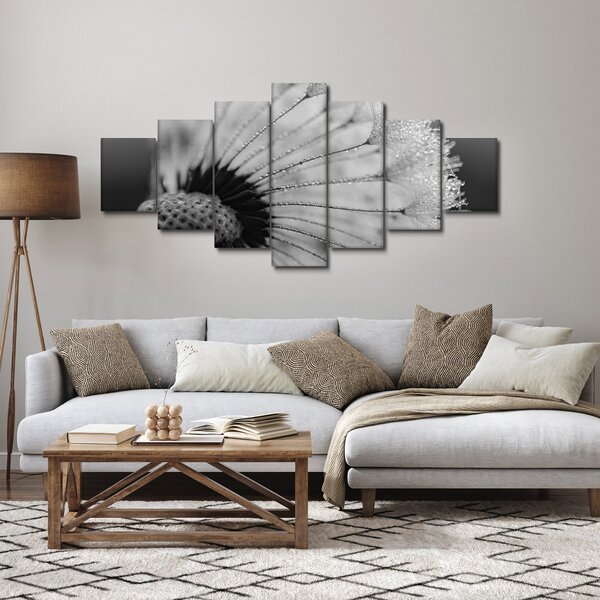 Obraz pampelišky - černobílý (210x100 cm)