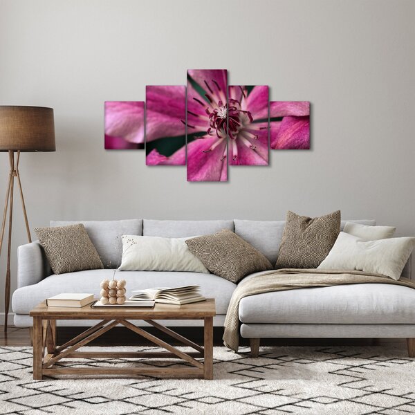 Obraz růžového květu Plaménku (125x70 cm)