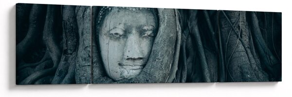 Obraz - Thajská tvář (170x50 cm)