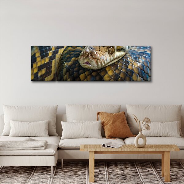 Obraz - Krajta (170x50 cm)