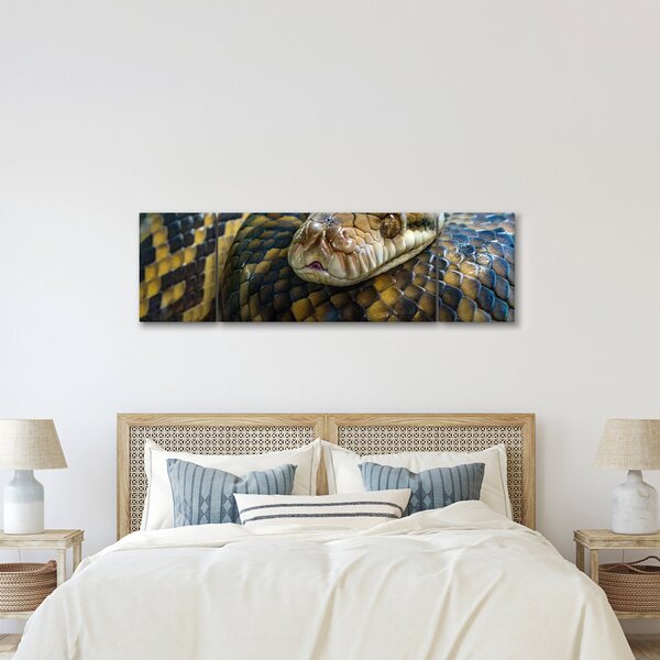 Obraz - Krajta (170x50 cm)
