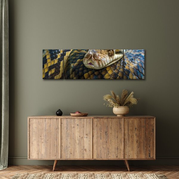 Obraz - Krajta (170x50 cm)