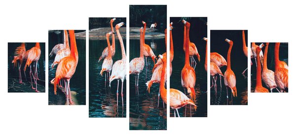 Obraz stáda plameňáků (210x100 cm)