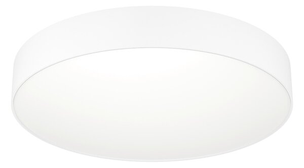 STROPNÍ LED SVÍTIDLO, 49,0/7,0 cm Eglo - Online Only svítidla, Online Only