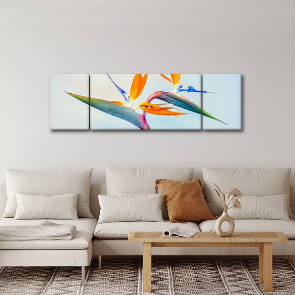 Obraz květu Strelície (170x50 cm)