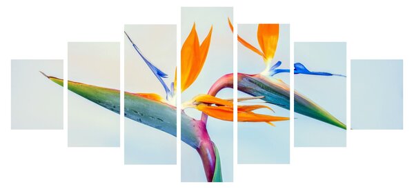 Obraz květu Strelície (210x100 cm)