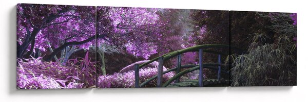 Obraz - Mystická zahrada (170x50 cm)