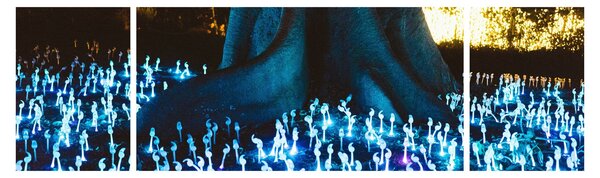 Obraz - Magický strom (170x50 cm)