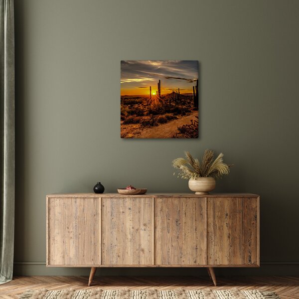 Obraz - Konec dne v arizonské poušti (30x30 cm)