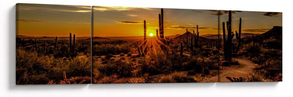 Obraz - Konec dne v arizonské poušti (170x50 cm)