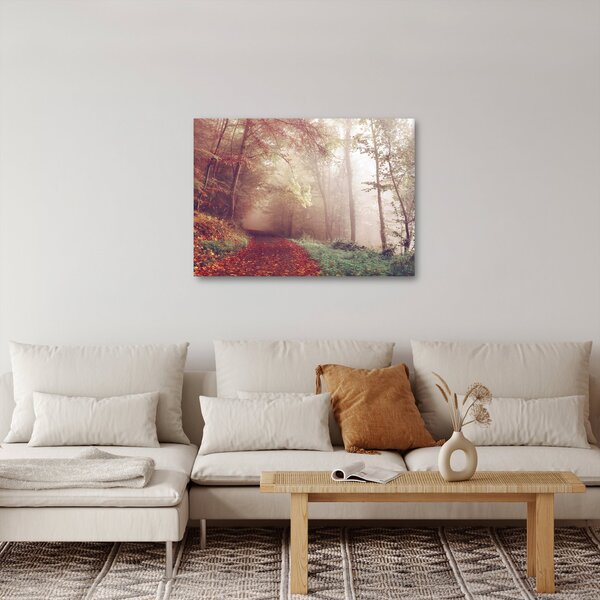 Obraz - Podzimní procházka lesem (70x50 cm)