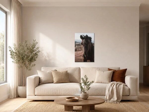 Portrét černého koně – Jednodílný obraz, 50 × 70 cm