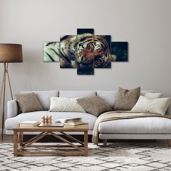 Obraz - Tygr Sibiřský (125x70 cm)