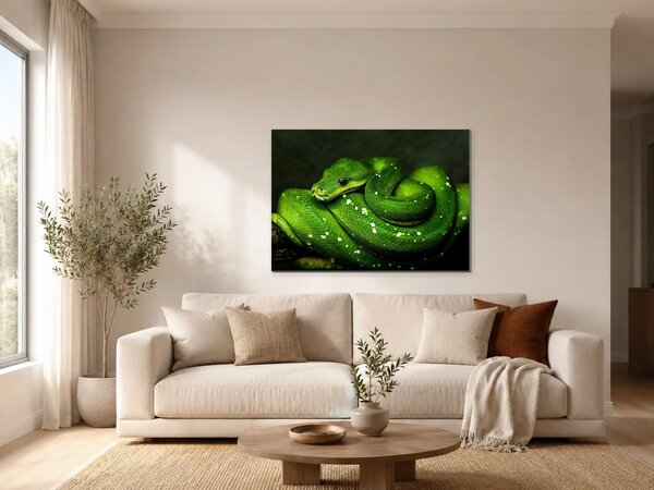 Zelený stromový had v detailu – Jednodílný obraz, 70 × 50 cm