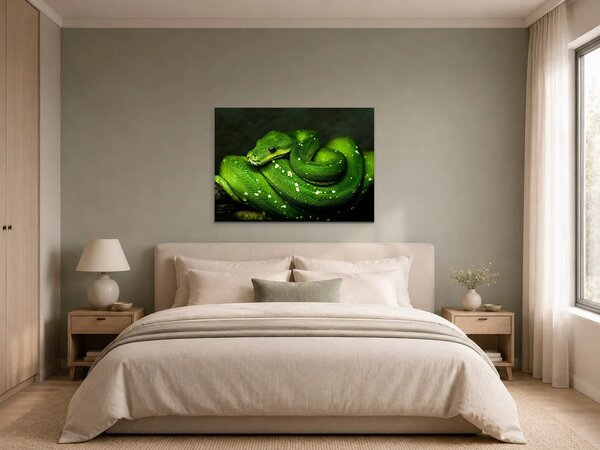 Zelený stromový had v detailu – Jednodílný obraz, 70 × 50 cm
