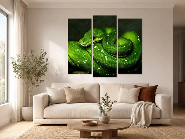 Zelený stromový had v detailu – Třídílný obraz B, 120 × 100 cm