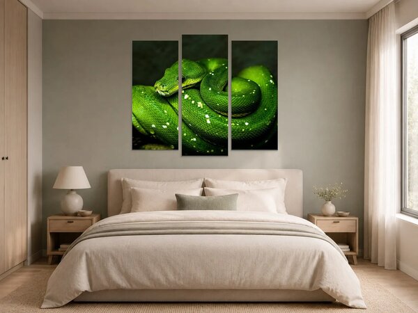 Zelený stromový had v detailu – Třídílný obraz B, 120 × 100 cm