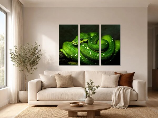 Zelený stromový had v detailu – Třídílný obraz A, 90 × 60 cm