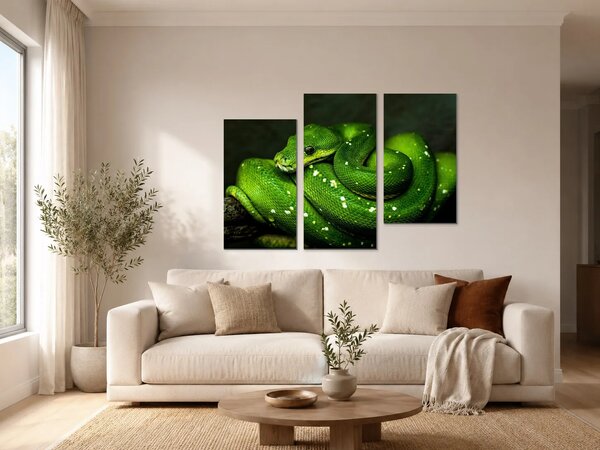 Zelený stromový had v detailu – Třídílný obraz C, 90 × 60 cm