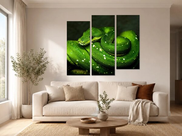 Zelený stromový had v detailu – Třídílný obraz C, 120 × 100 cm