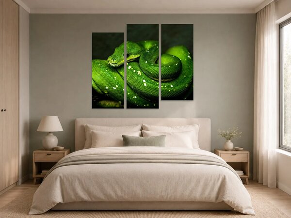 Zelený stromový had v detailu – Třídílný obraz C, 120 × 100 cm