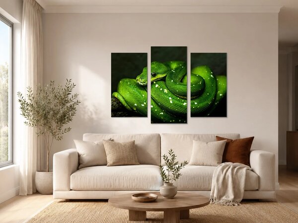Zelený stromový had v detailu – Třídílný obraz B, 90 × 60 cm