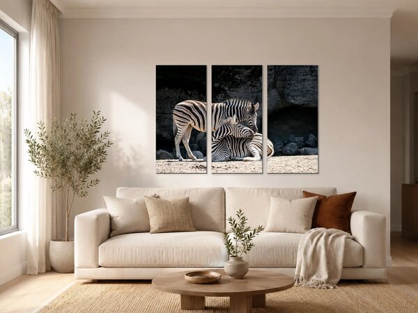 Dvě zebry ve skalnatém výběhu – Třídílný obraz A, 90 × 60 cm