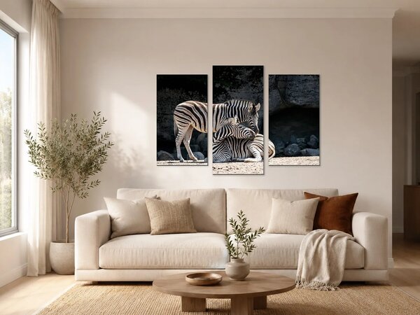 Dvě zebry ve skalnatém výběhu – Třídílný obraz B, 90 × 60 cm