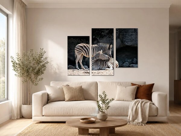 Dvě zebry ve skalnatém výběhu – Třídílný obraz C, 90 × 60 cm