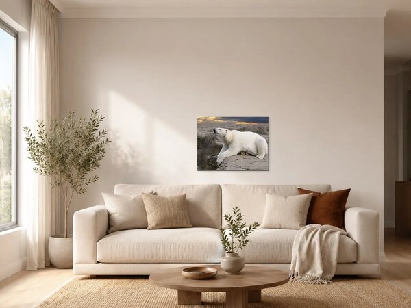 Lední medvěd na skalách při západu slunce – Jednodílný obraz, 60 × 40 cm