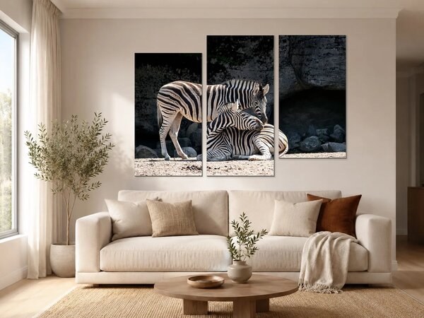 Dvě zebry ve skalnatém výběhu – Třídílný obraz C, 120 × 80 cm
