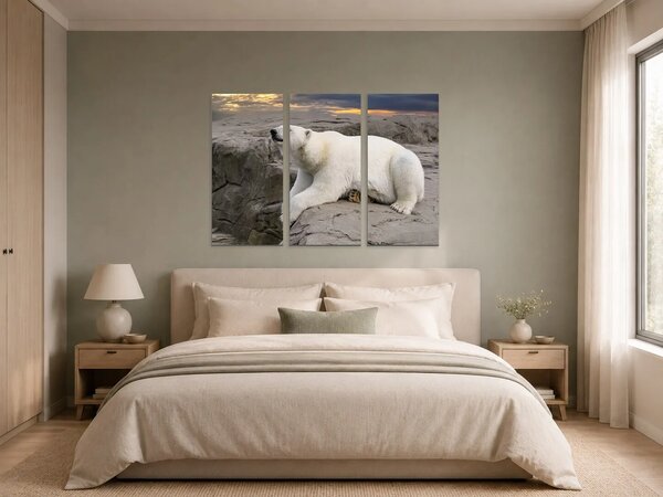 Lední medvěd na skalách při západu slunce – Třídílný obraz A, 90 × 60 cm