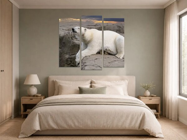 Lední medvěd na skalách při západu slunce – Třídílný obraz B, 120 × 100 cm