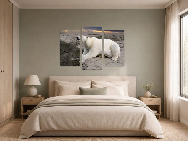 Lední medvěd na skalách při západu slunce – Třídílný obraz B, 90 × 60 cm