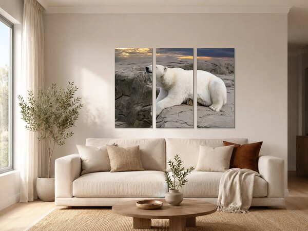 Lední medvěd na skalách při západu slunce – Třídílný obraz A, 90 × 60 cm