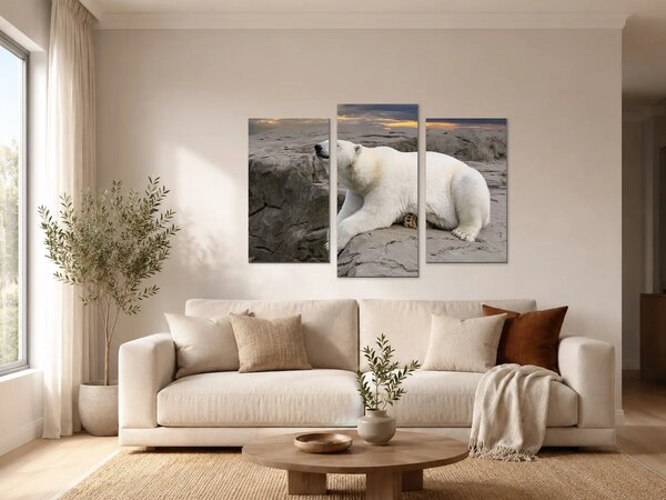 Lední medvěd na skalách při západu slunce – Třídílný obraz B, 90 × 60 cm