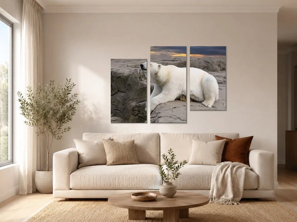 Lední medvěd na skalách při západu slunce – Třídílný obraz C, 90 × 60 cm