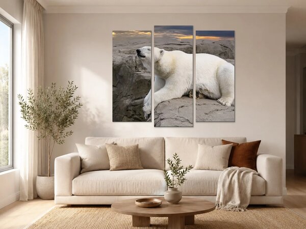 Lední medvěd na skalách při západu slunce – Třídílný obraz B, 120 × 100 cm