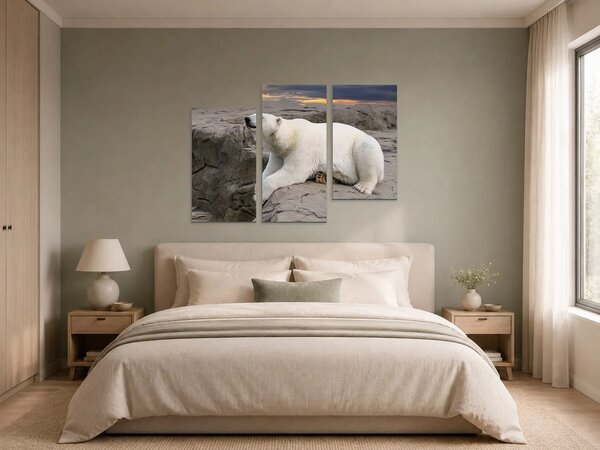 Lední medvěd na skalách při západu slunce – Třídílný obraz C, 90 × 60 cm