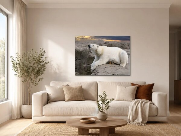 Lední medvěd na skalách při západu slunce – Jednodílný obraz, 70 × 50 cm